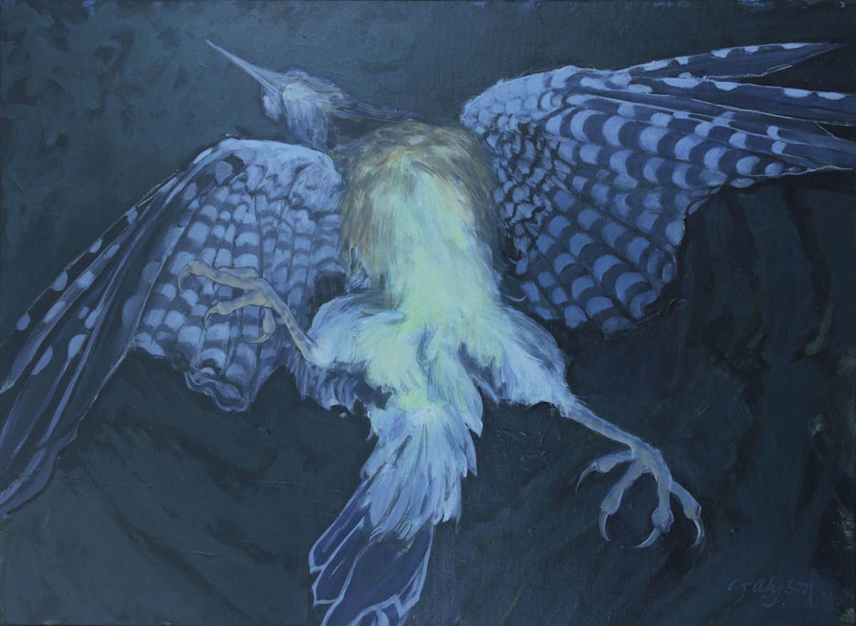 Falling Jay by renée  alyson, Image 1.