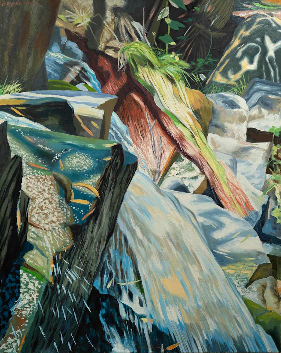 Cascade with Willow Roots by James Burpee, Image 1.