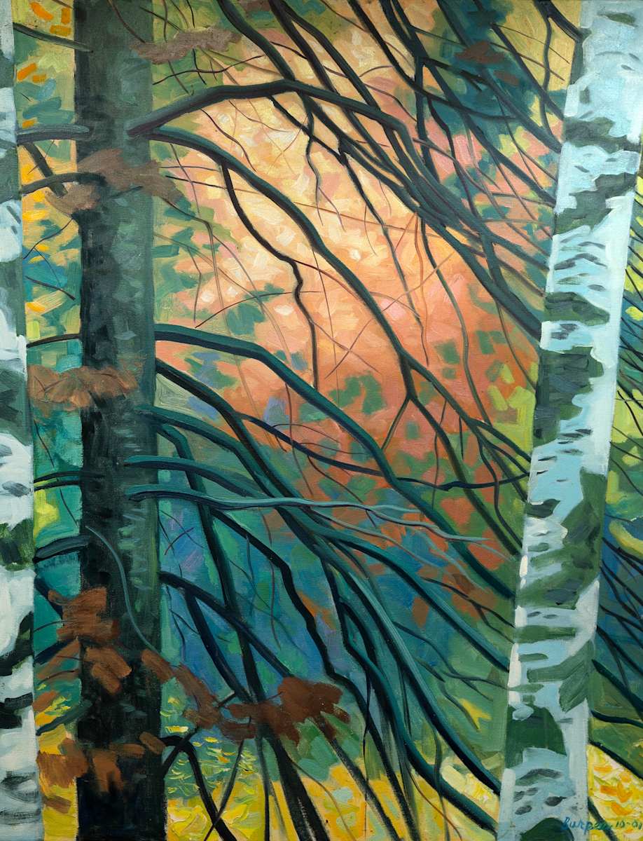 Birch Tree in Forest by James Burpee, Image 1.