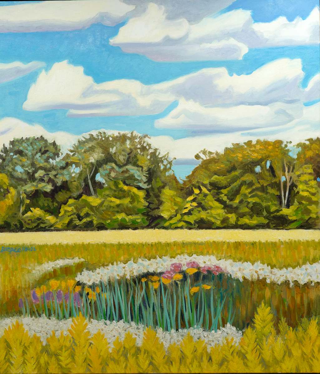 Meadow Blue Sky with Clouds by James Burpee, Image 1.