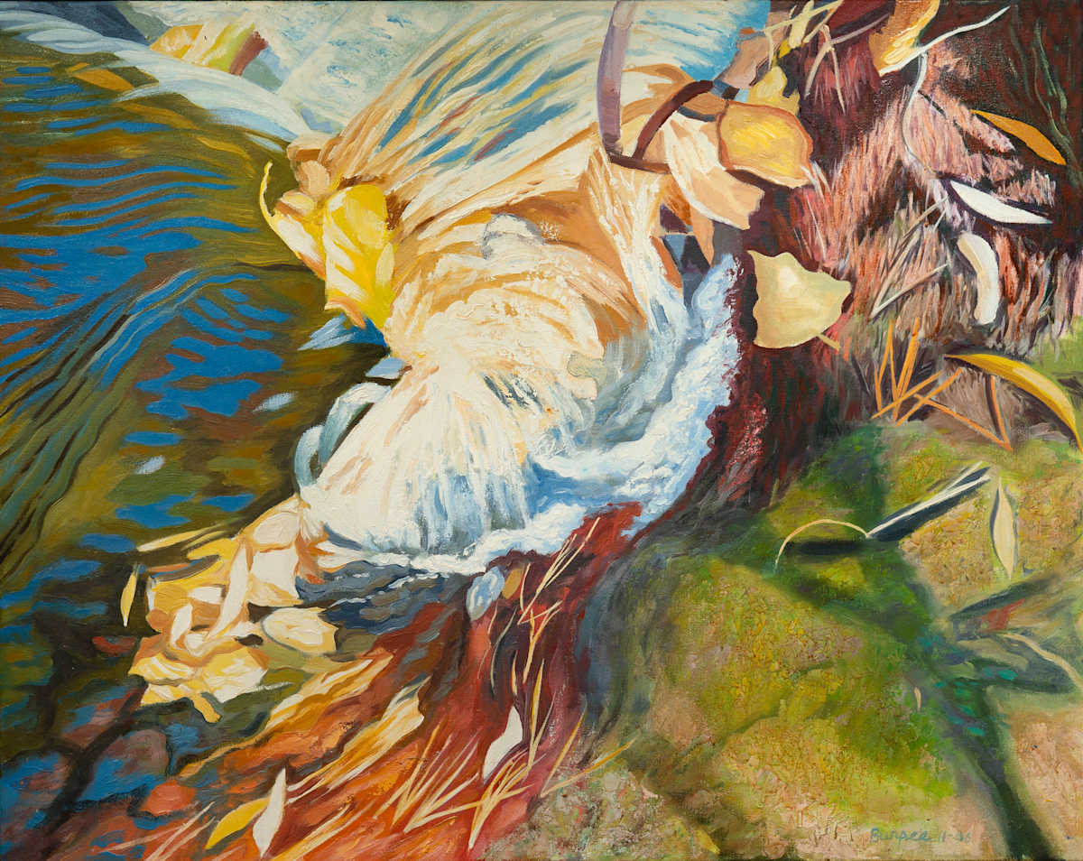River Rush Yellow Leaves by James Burpee, Image 1.