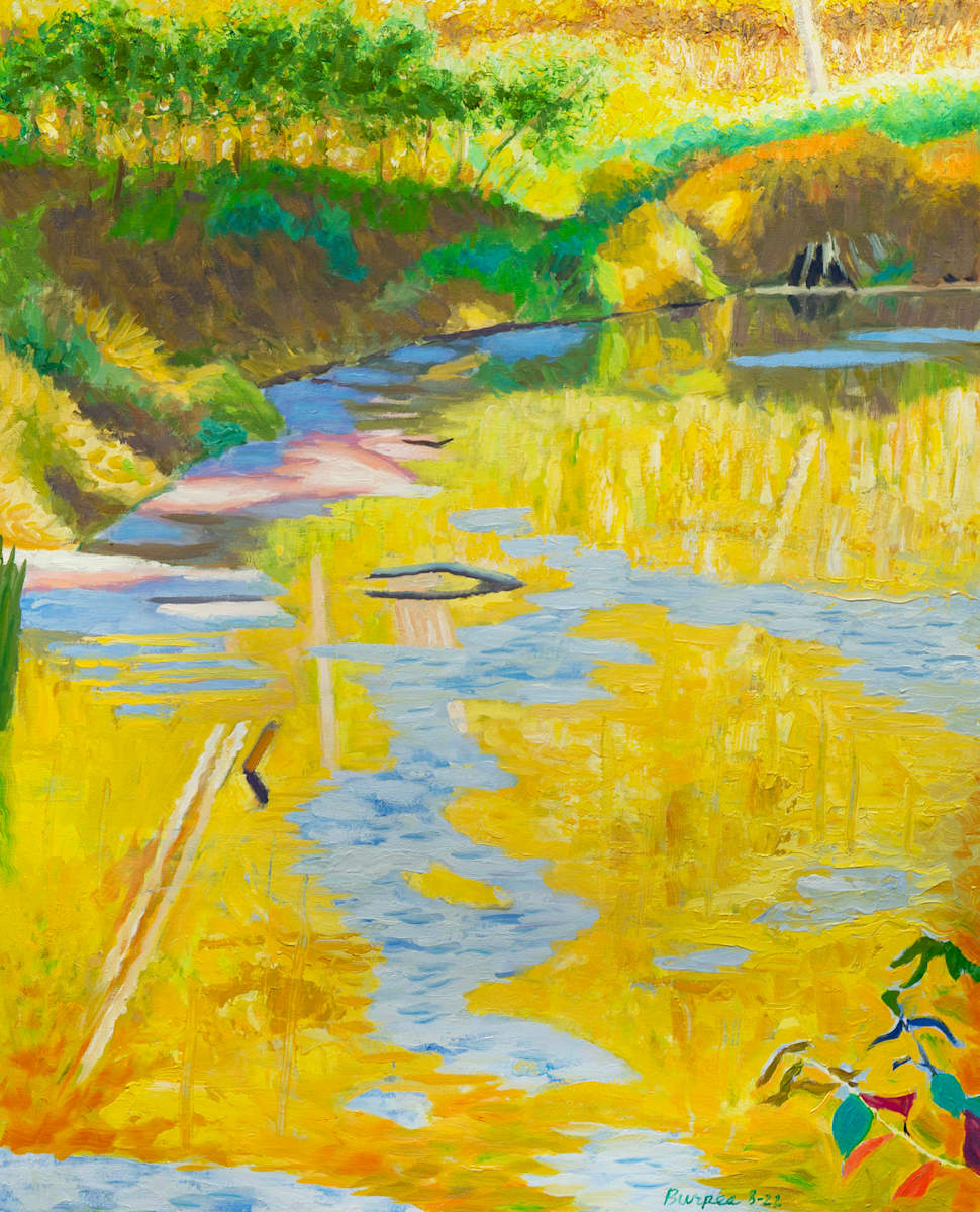 Untitled (Yellow Reflection in Lake) by James Burpee, Image 1.