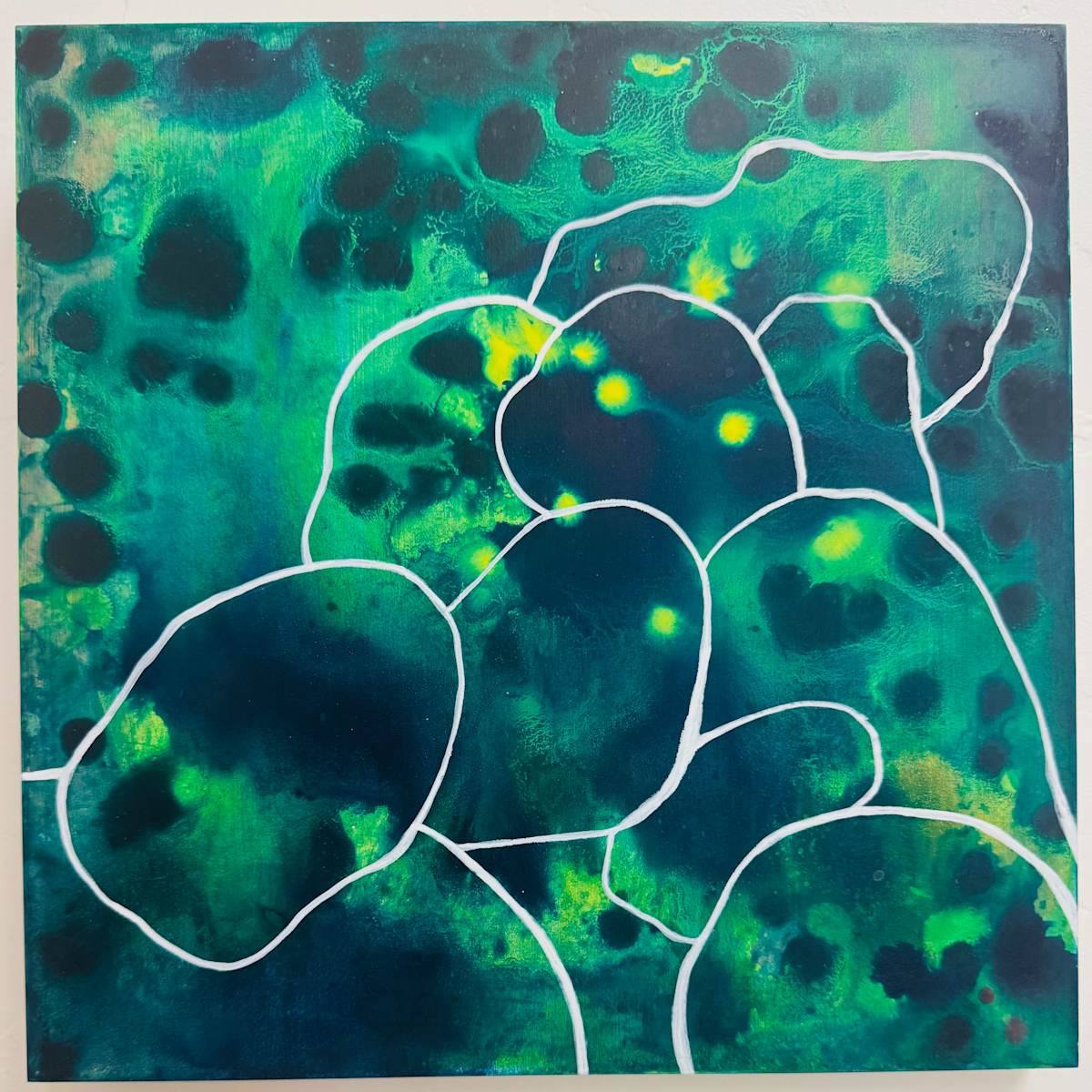 Night Rocks by Nolina Burge, Image 1.