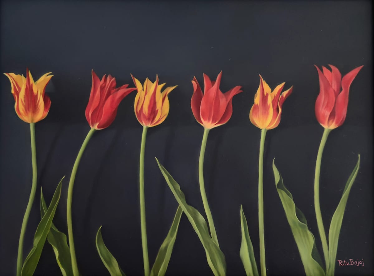 Tulips line-up by Ritu Bajaj, Image 2.