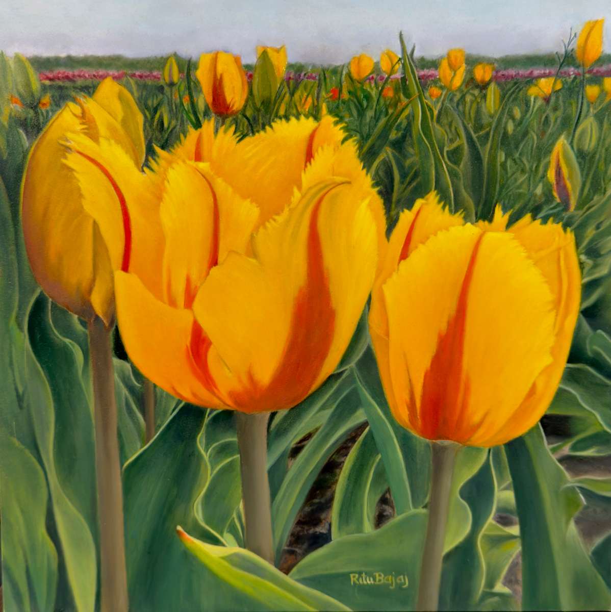 Tulip radiance by Ritu Bajaj, Image 1.