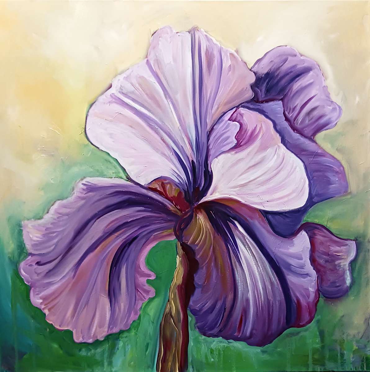 Iris Echoes in Golden Light by Ronda Richley 