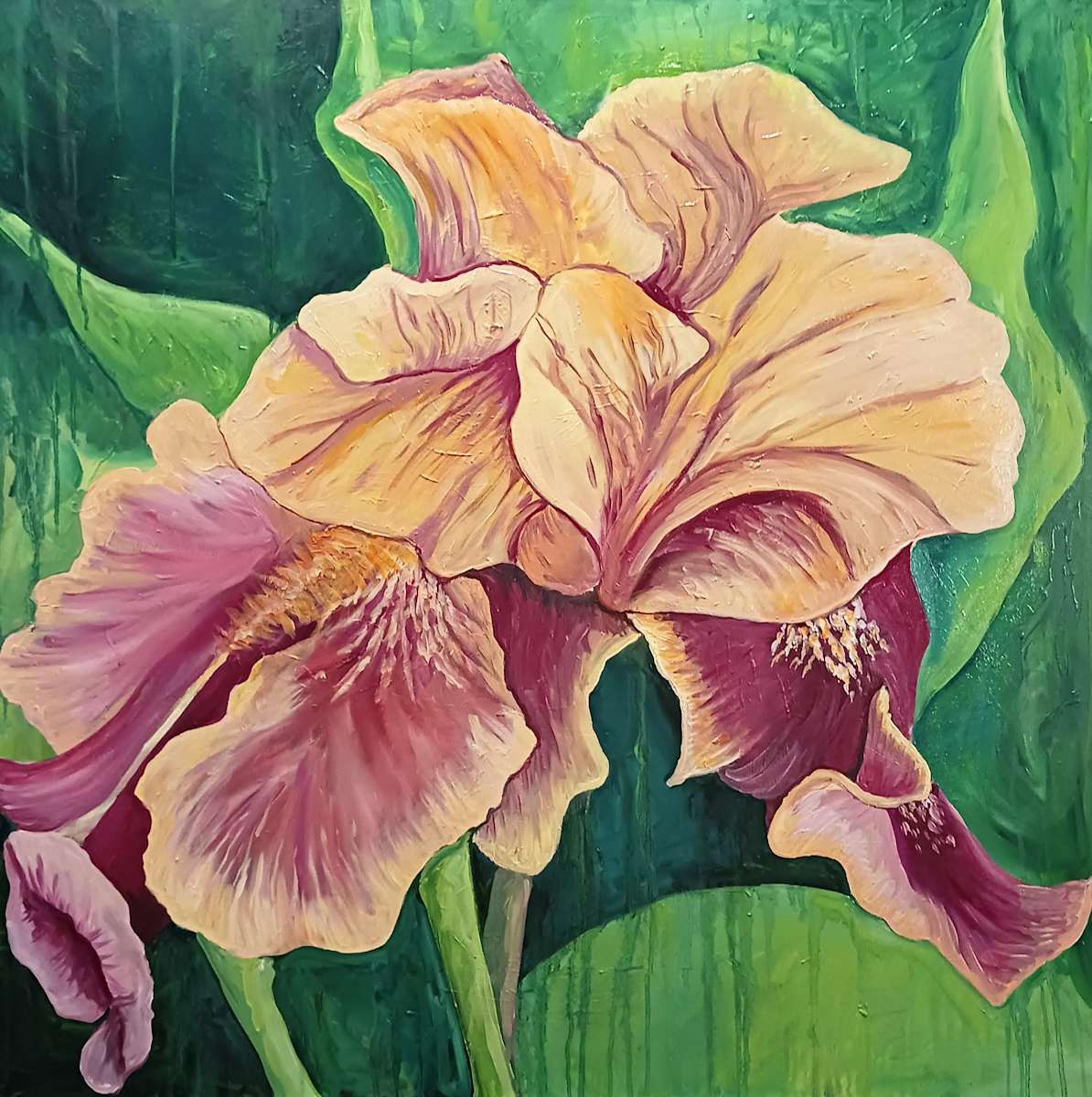 When the Iris Blushes by Ronda Richley 