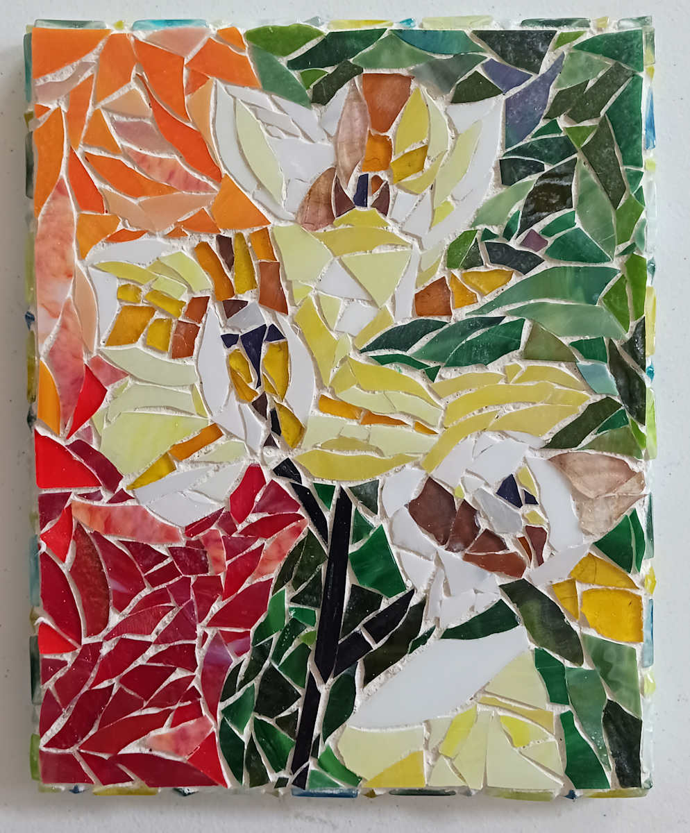 Orchids by Ronda Richley 