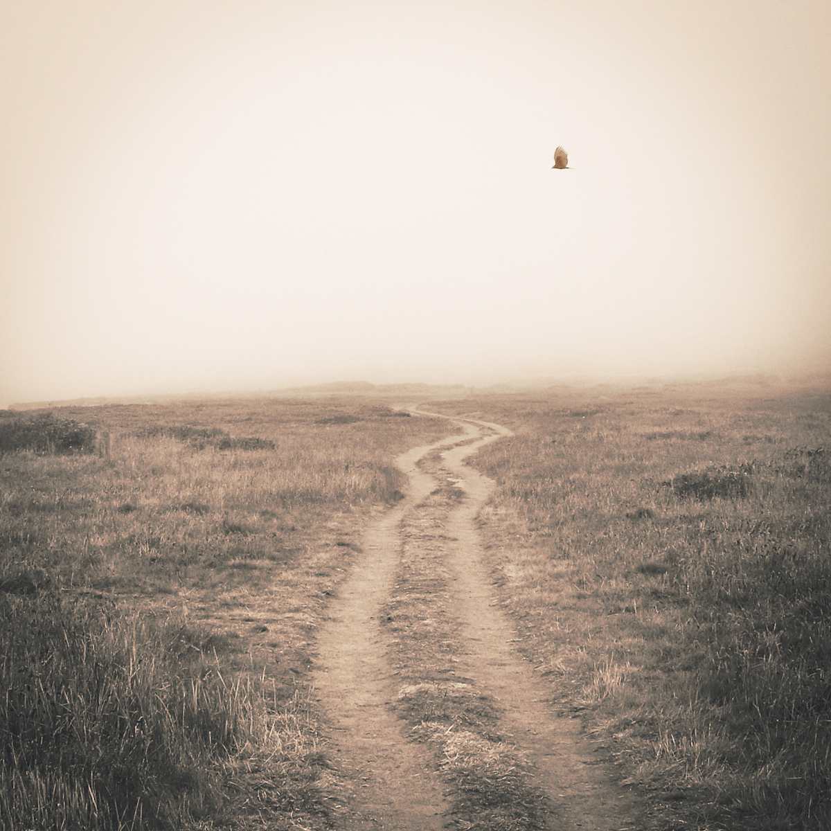 Selections from Emergence by Jenny Helbraun Abramson, Image 1.