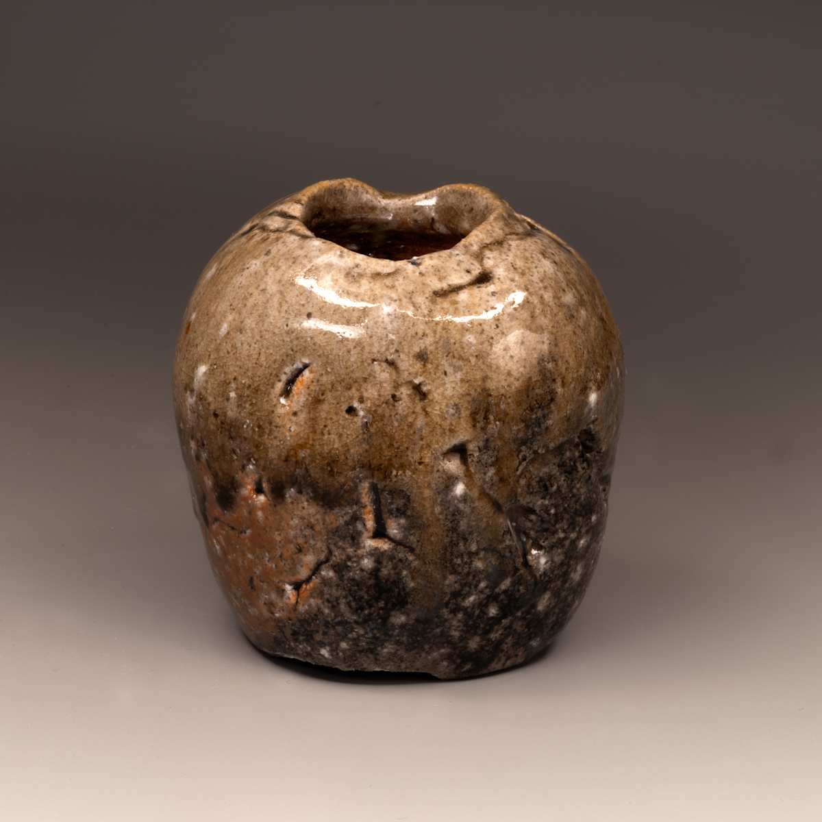 V145 by Peter Callas, Image 1.