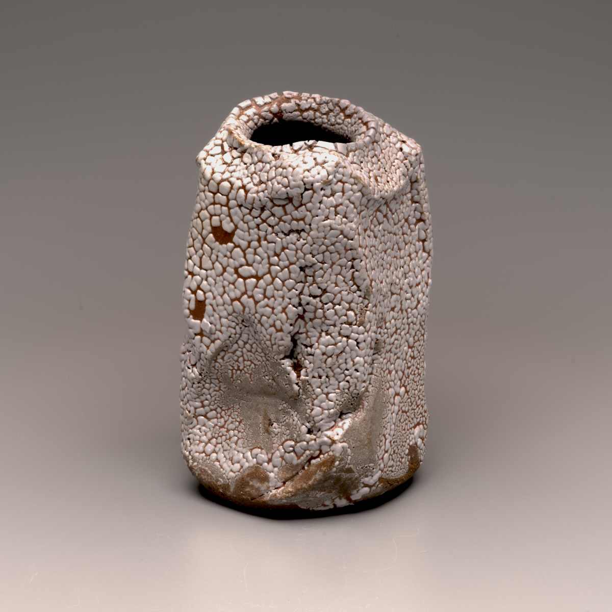 V110 by Peter Callas, Image 1.