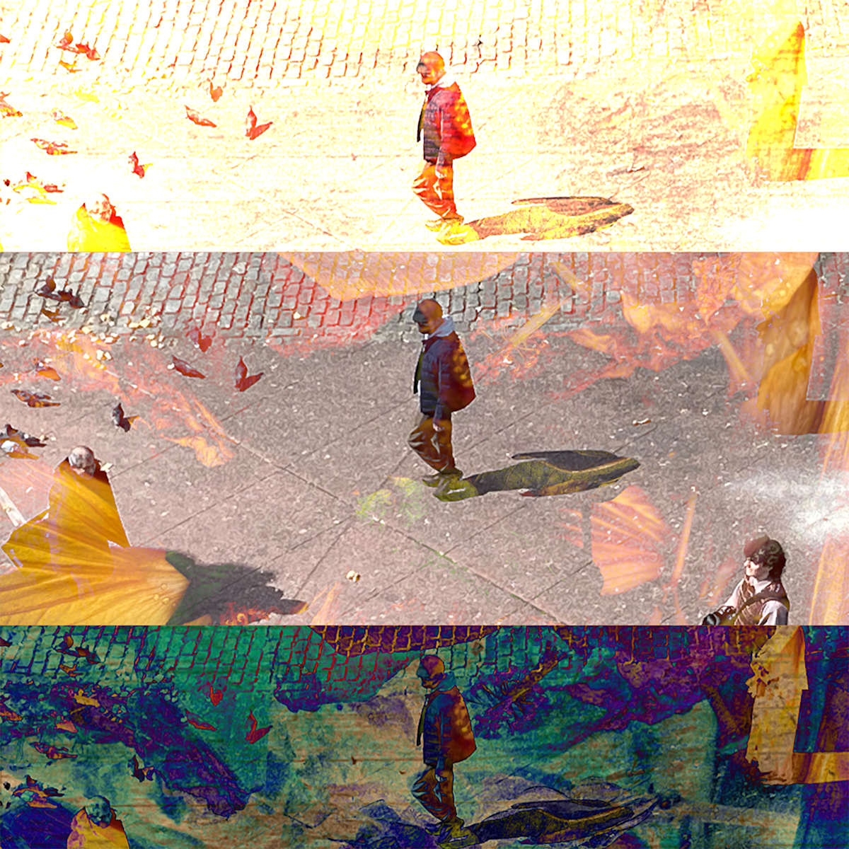 Three Walks Along The Same Path by Brian Hallas, Image 2.