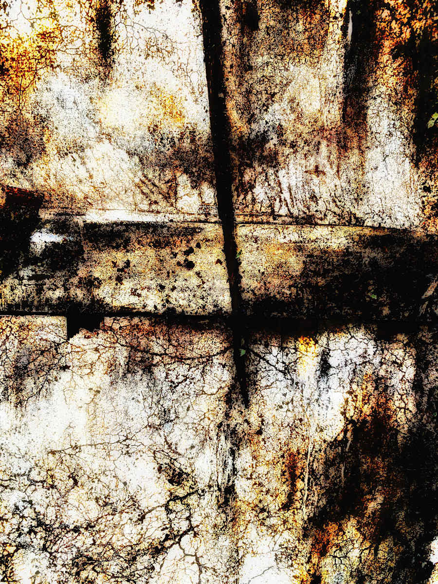 Underbrush by Brian Hallas, Image 2.