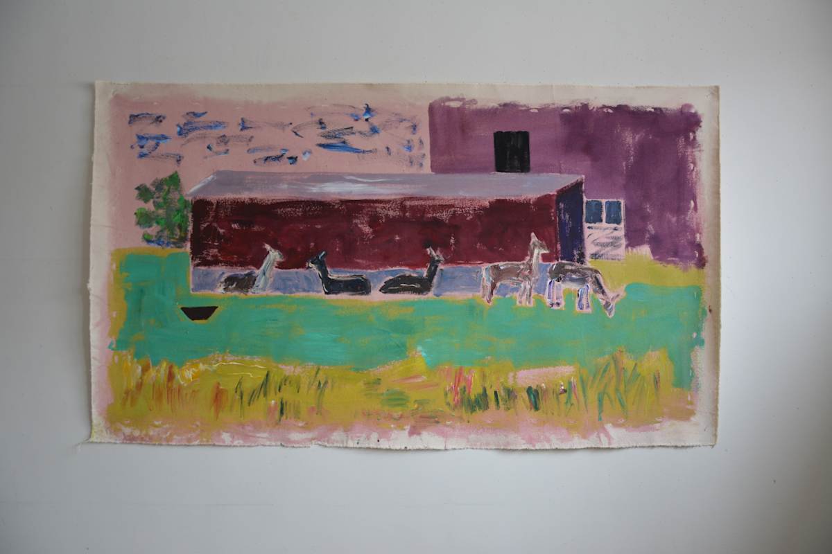 Llamas (Mashomack) by Barbara Ballachey, Image 5.