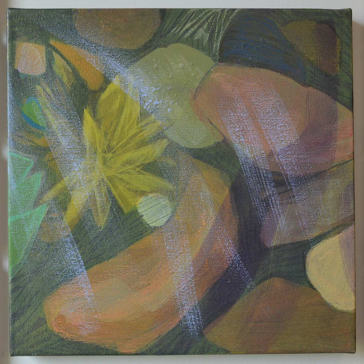 Rocks + Plants in Water by Barbara Ballachey, Image 6.