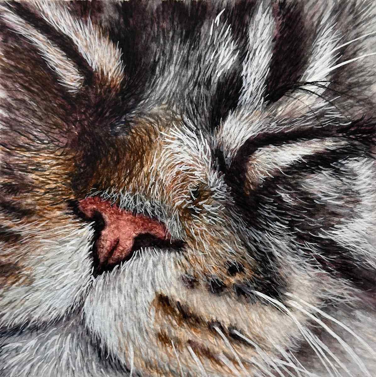 Boop! by Letitia Uyak, Image 1.