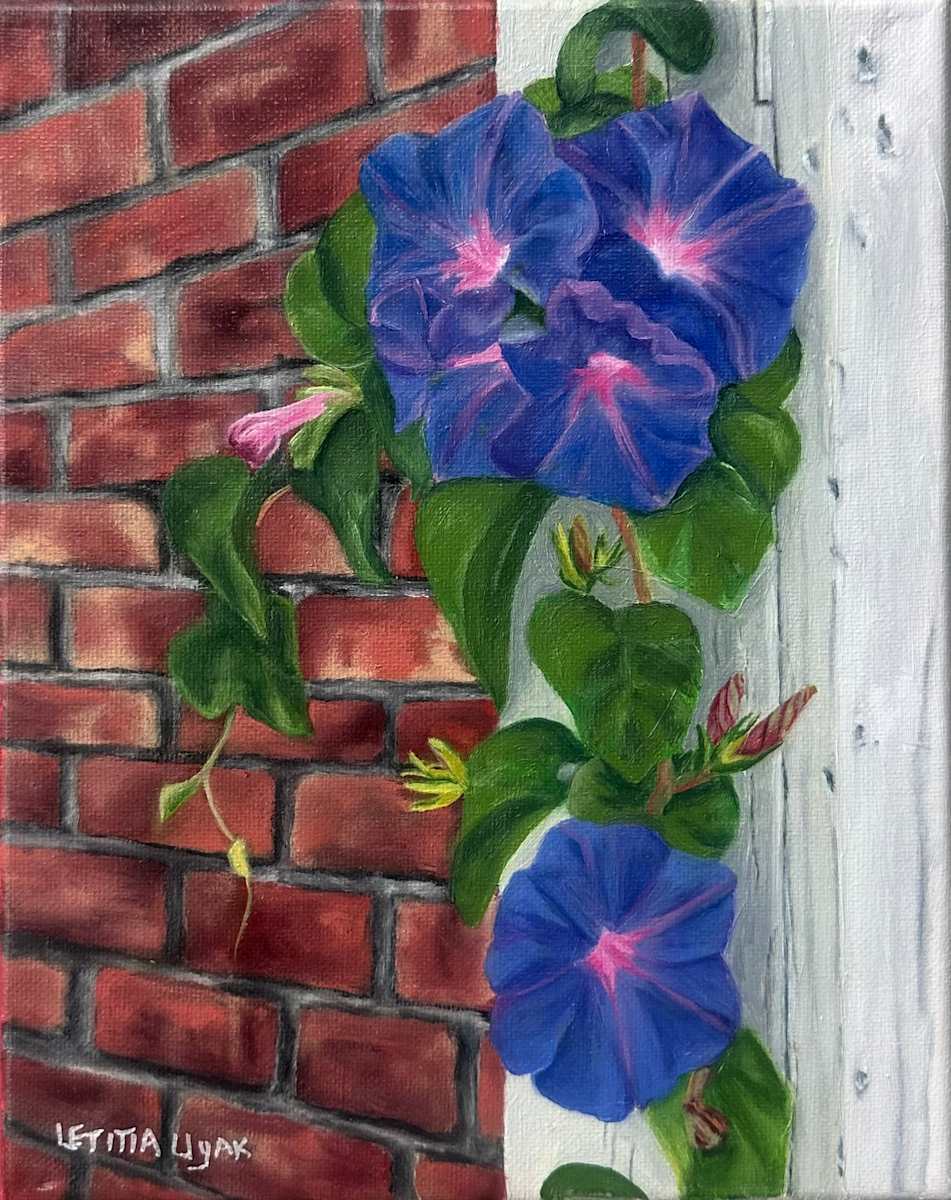 Morning Glories by Letitia Uyak, Image 1.