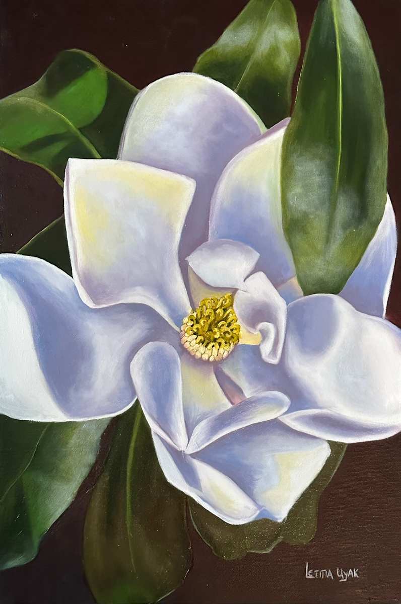 Cheekwood Magnolia by Letitia Uyak, Image 1.