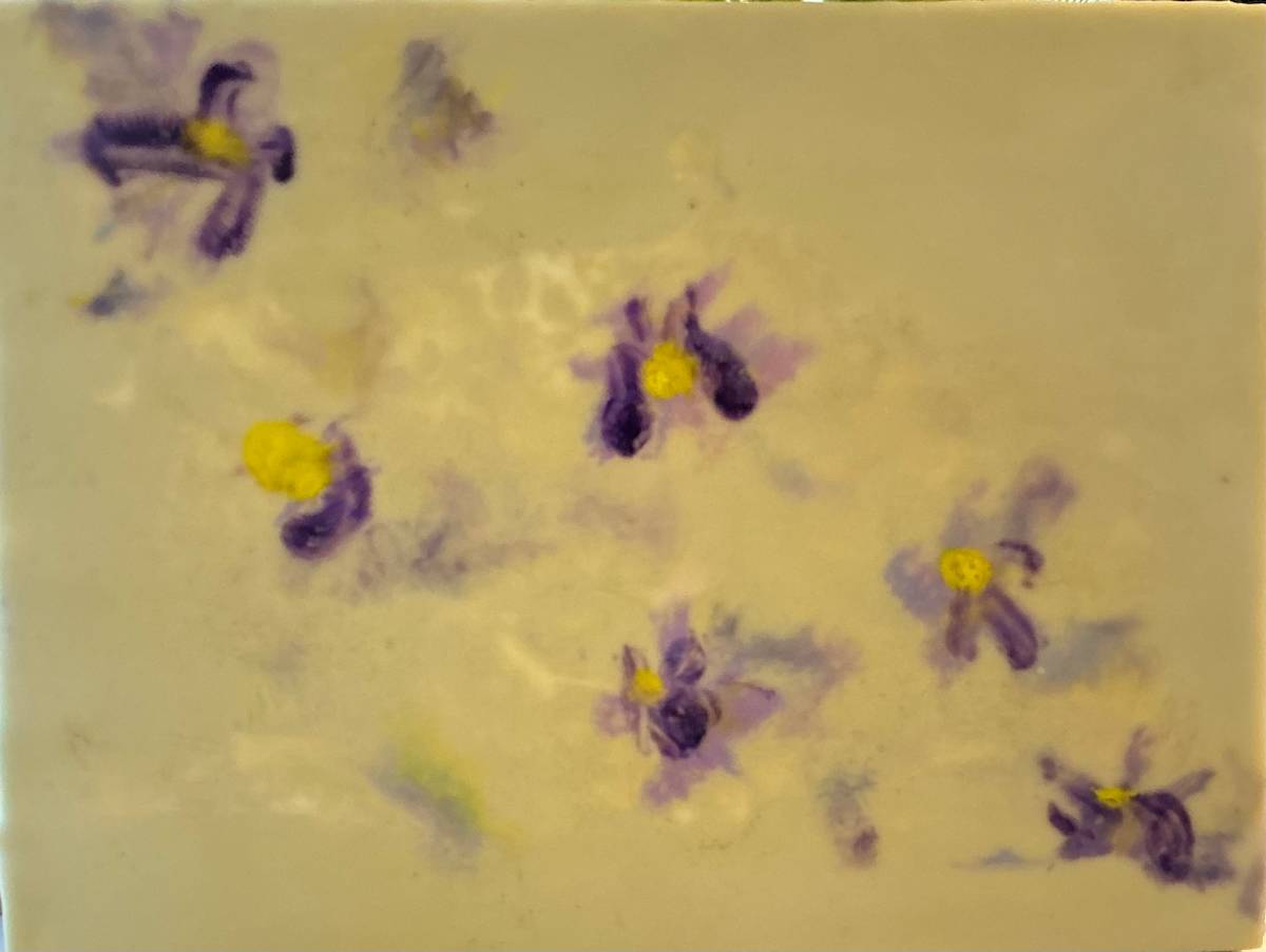 Endangered Flower Study # 2 by Jennifer Leigh Harrison, Image 1.
