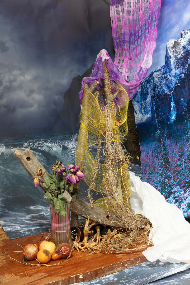 The Raft, 2021 by Sandra Stark 