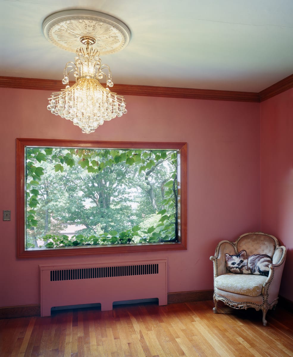 Cat Pillow by Sarah Malakoff 