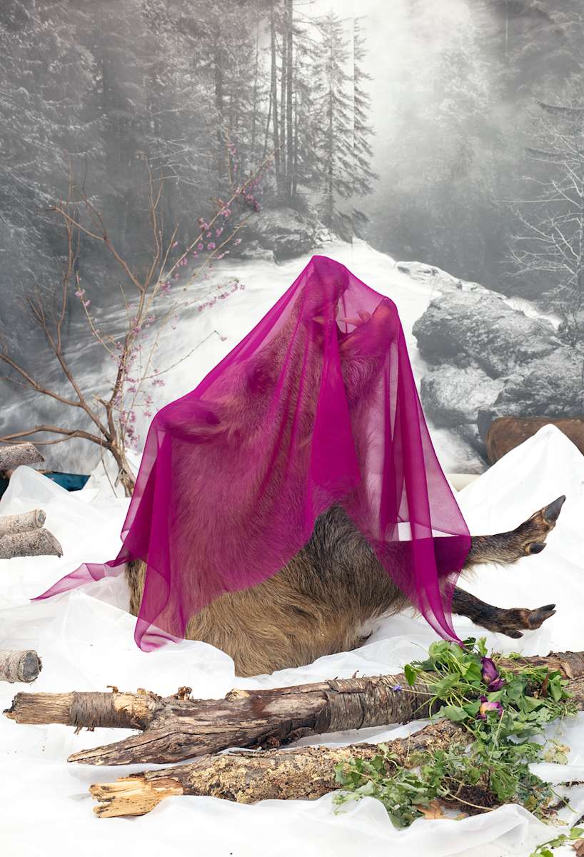The Gift, 2021 by Sandra Stark, Image 16.