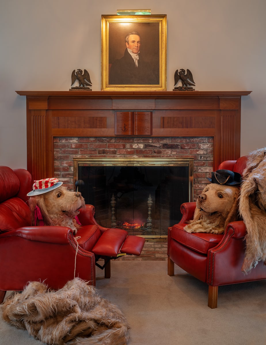 Dog Costumes in Library by Sarah Malakoff 