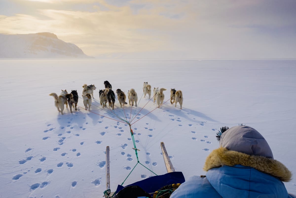 Dawn on the Sea Ice, Thule, Greenland by Stephen Gorman 