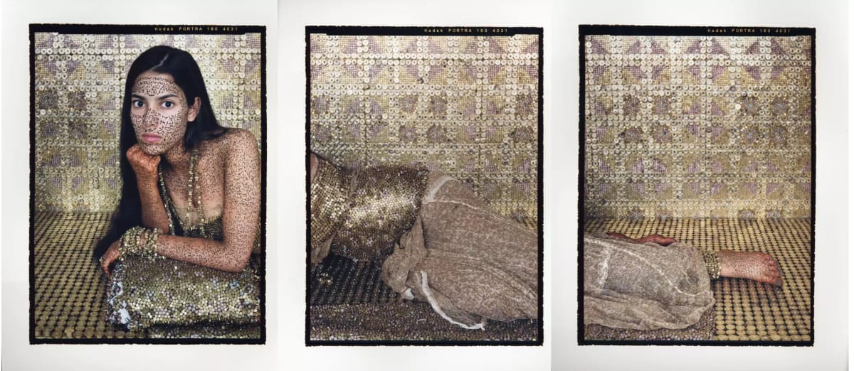 Bullets Revisited #4 by Lalla Essaydi  