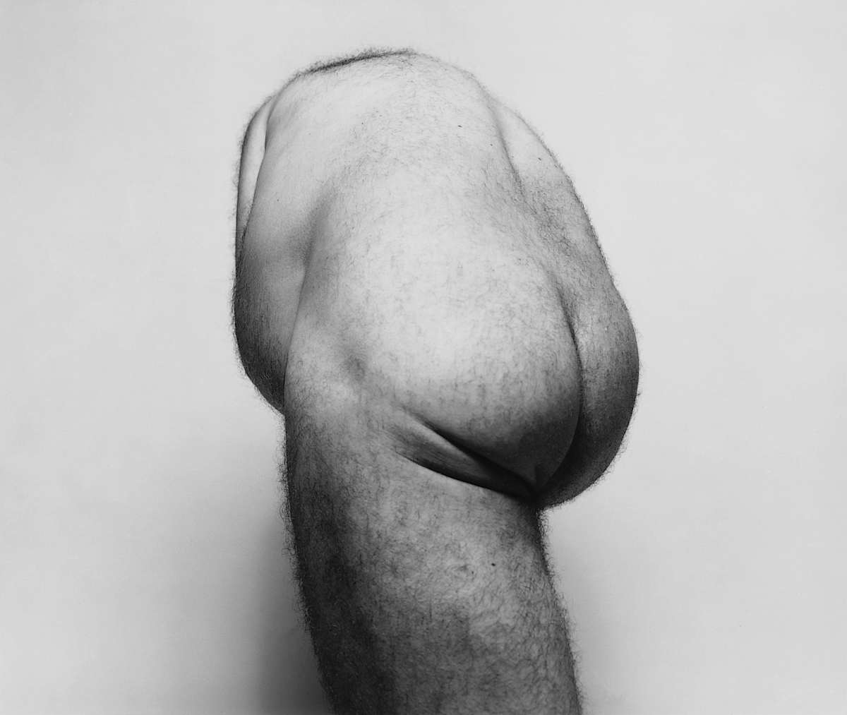 Back Torso from Below (SP 46 85) by John Coplans, Image 1.