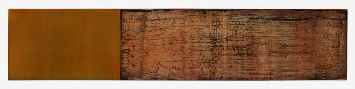 Barrier by Paul Shakespear 