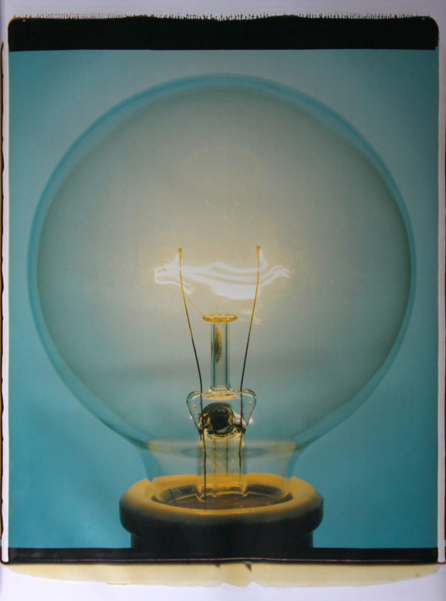 Light Bulb F2LBO5 by Amanda Means 