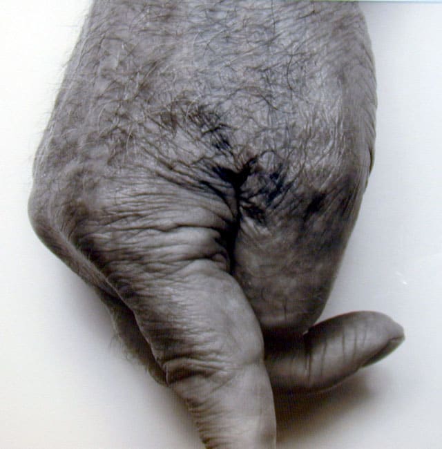 Fingers,Standing, III (SP 19 99) by John Coplans 