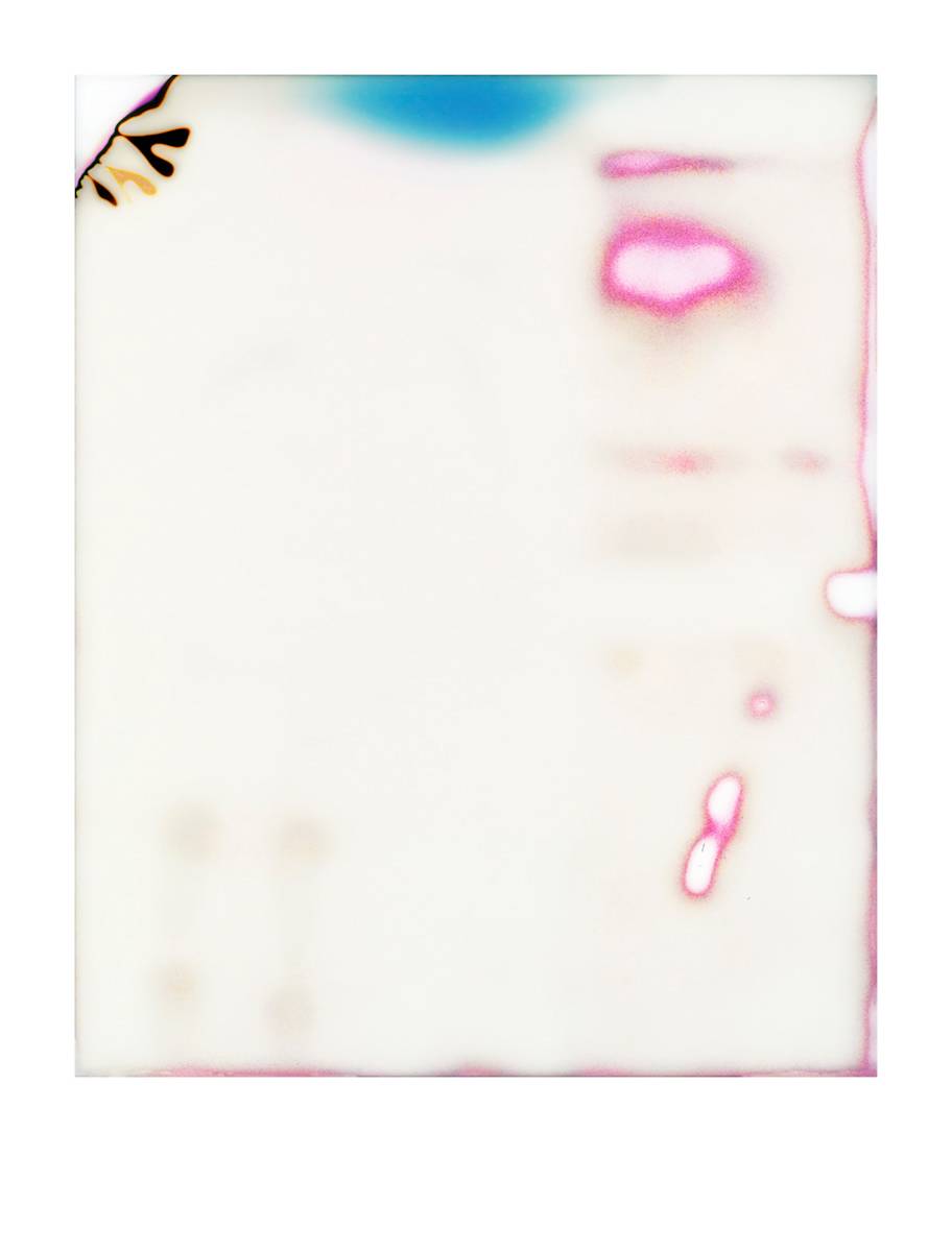 Gyre by Tynan Byrne, Image 1.