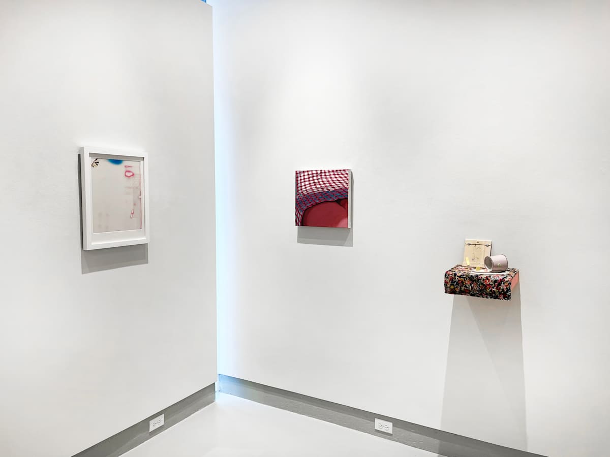 Installation View, Image 4.