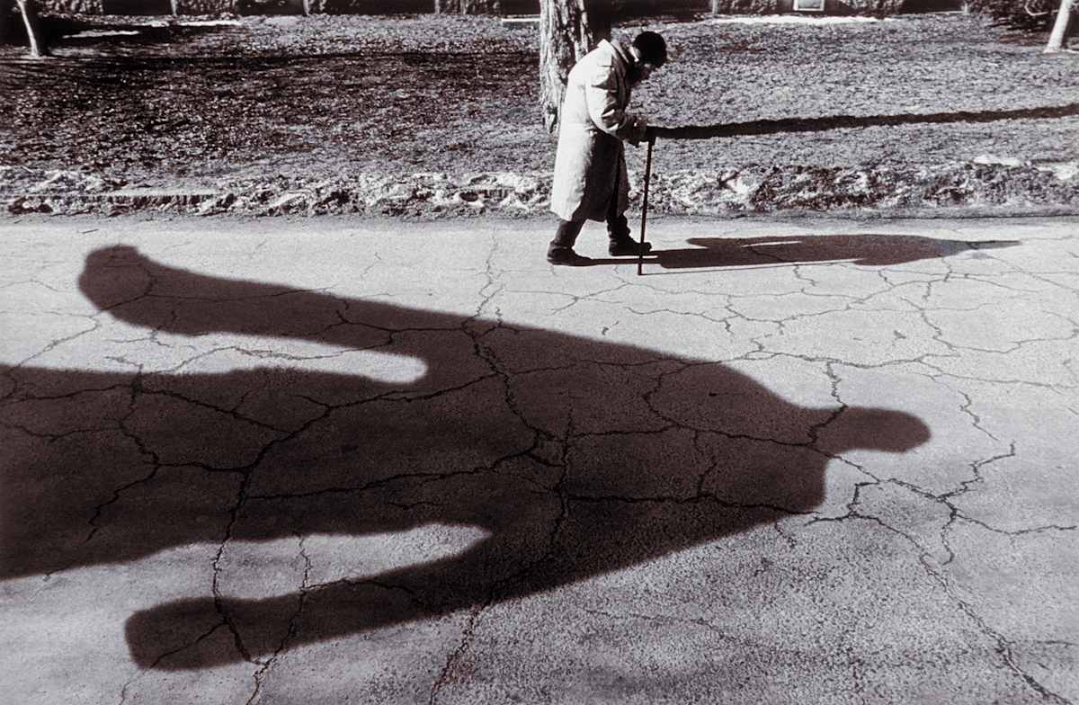 Cambridge Commons, MA by Karl Baden 