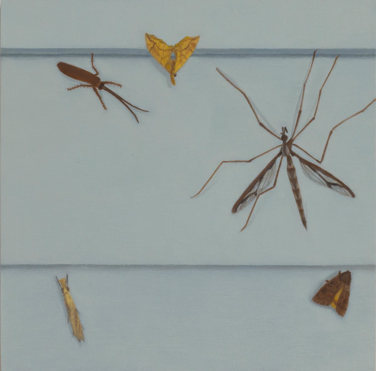 Summer #60 by K. Min 