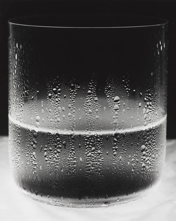 Water Glass 1, 2011 by Amanda Means 