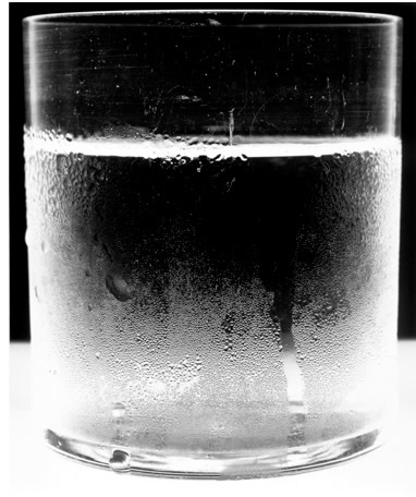 Water Glass 1, 2004 by Amanda Means 