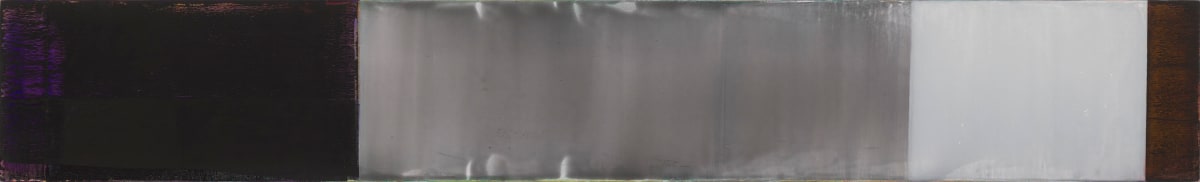 Yellow Trail #4 by Paul Shakespear 