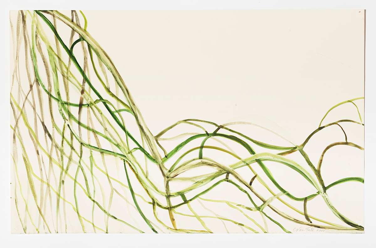 Green Branches 2 by Nan Tull 