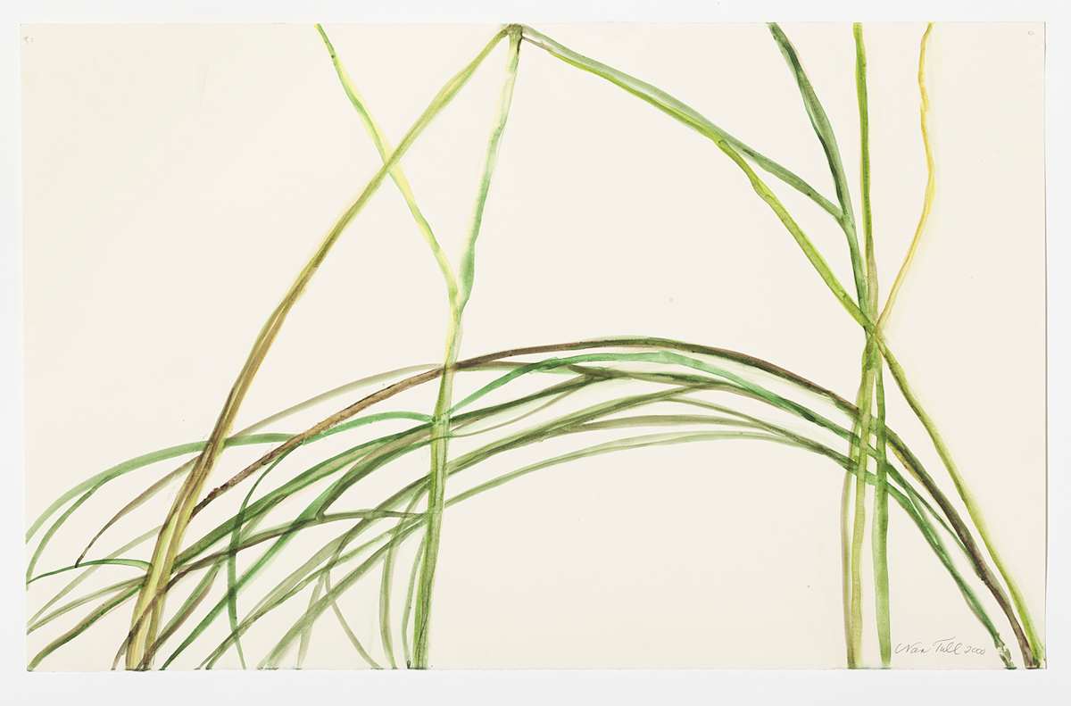 Green Branches 3 by Nan Tull 