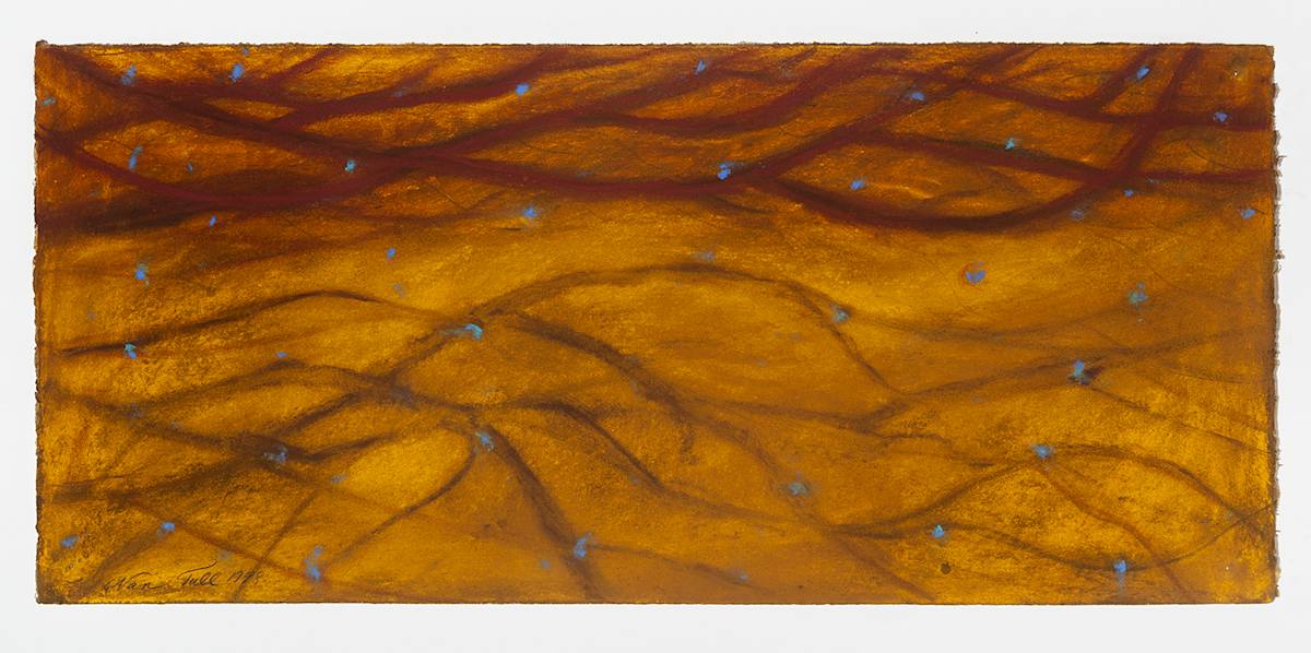 Lifelines 16 by Nan Tull 