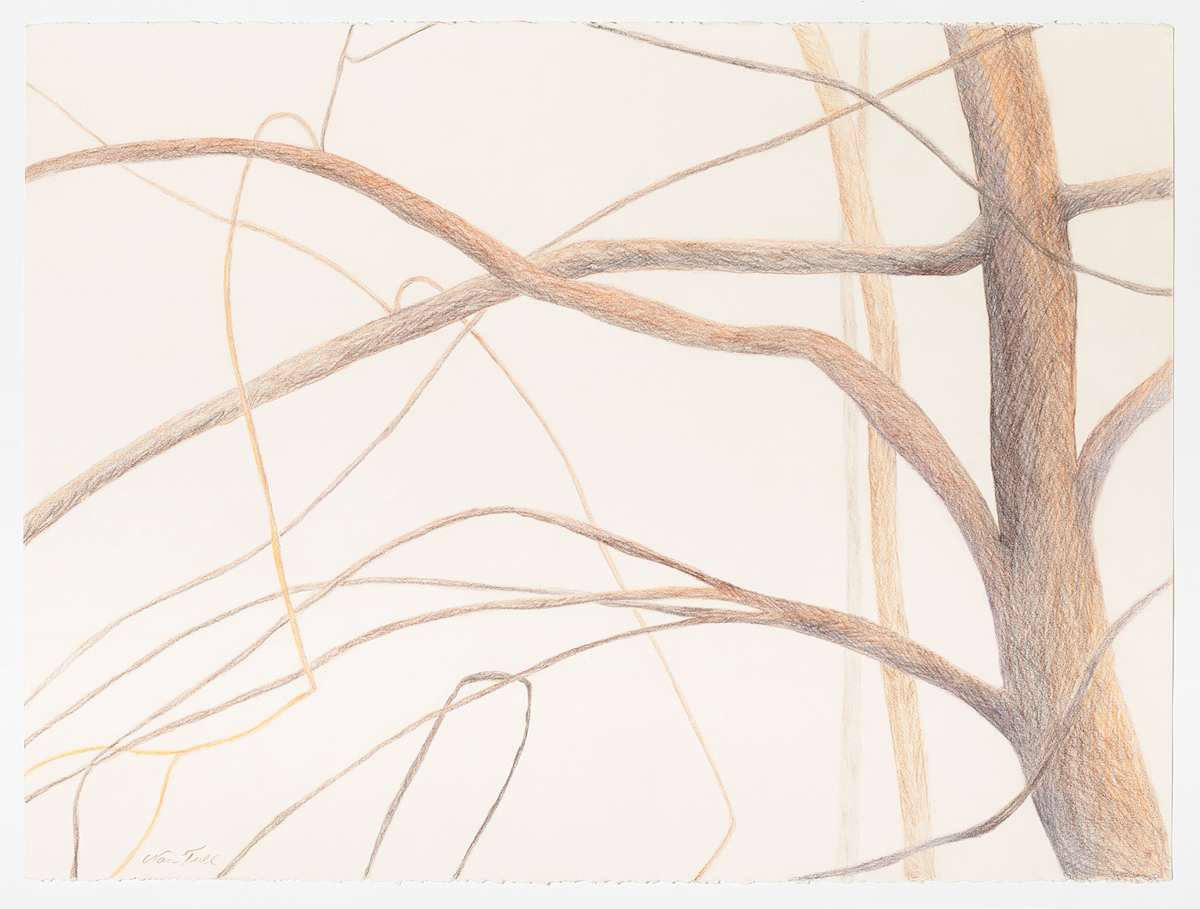 Branches 4 by Nan Tull, Image 5.