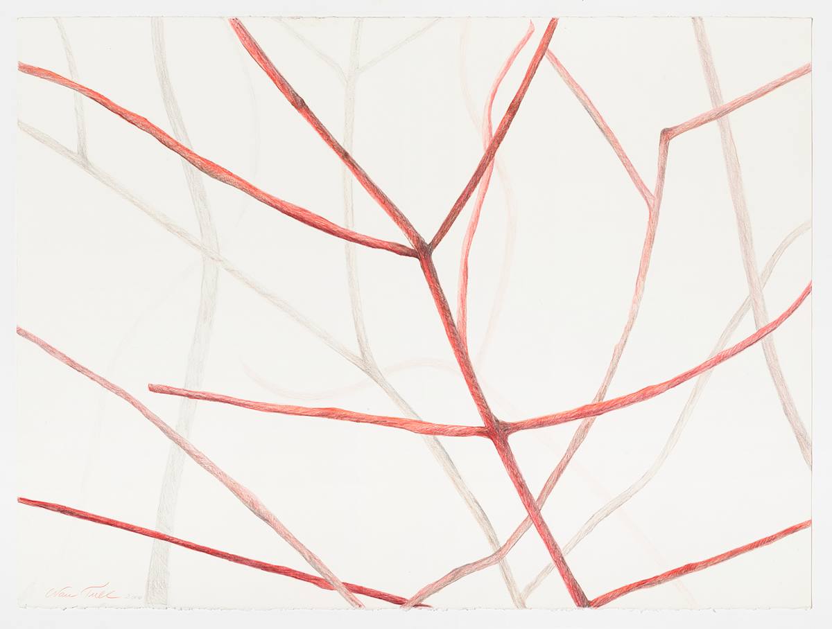 Branches 2 by Nan Tull, Image 3.
