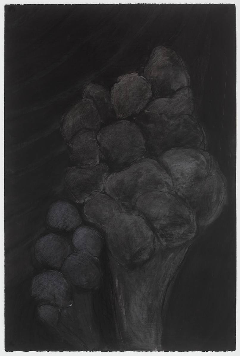Black Beauty 4985 by Nan Tull, Image 10.
