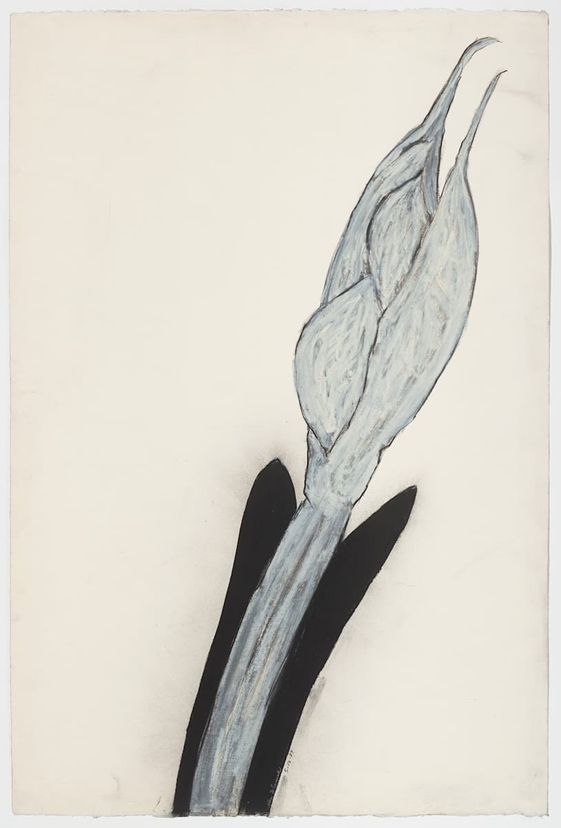 Black Beauty 51984 (Framed) by Nan Tull, Image 8.