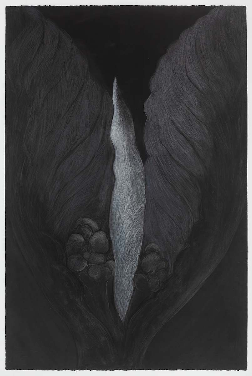 Black Beauty 21285 (Framed) by Nan Tull, Image 11.
