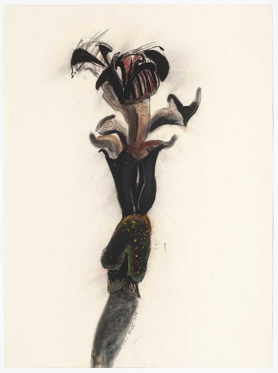 Native Wand 6 (Framed) by Nan Tull, Image 13.