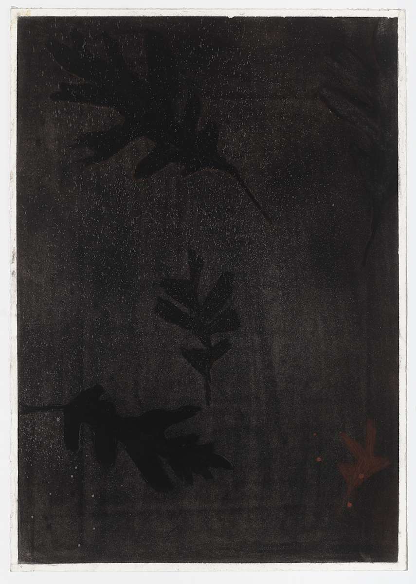 Hidden Leaf 1 by Nan Tull, Image 4.